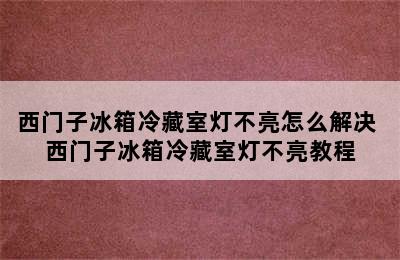 西门子冰箱冷藏室灯不亮怎么解决 西门子冰箱冷藏室灯不亮教程